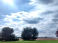 cropped-whale-barn-sky