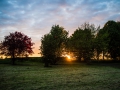 evening-west-lawn