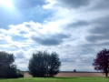 whale-barn-sky